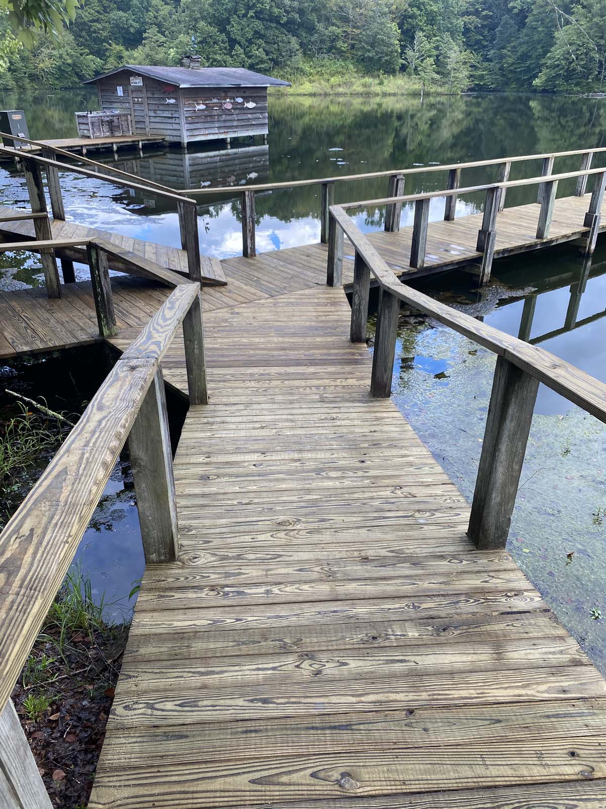 pond pathway decking construction